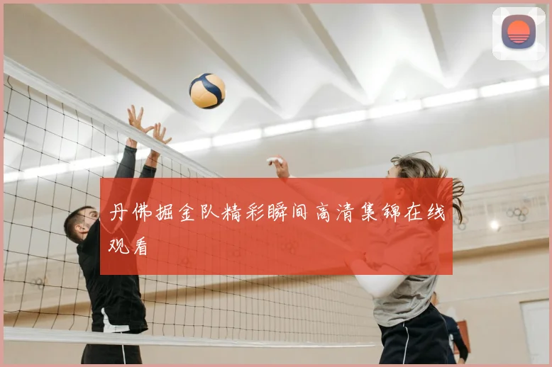 丹佛掘金队精彩瞬间高清集锦在线观看