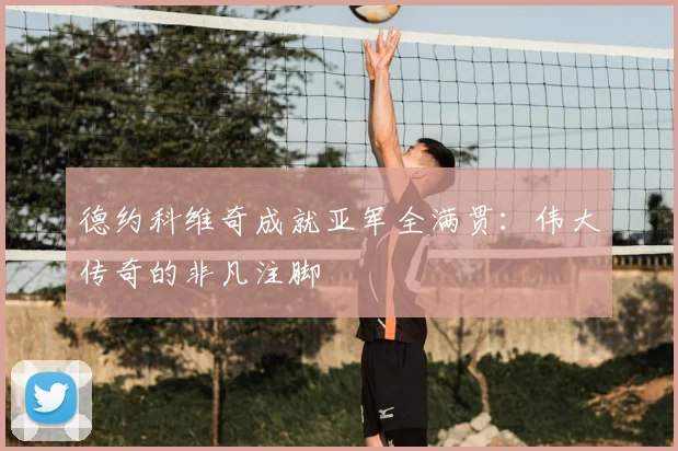德约科维奇成就亚军全满贯：伟大传奇的非凡注脚
